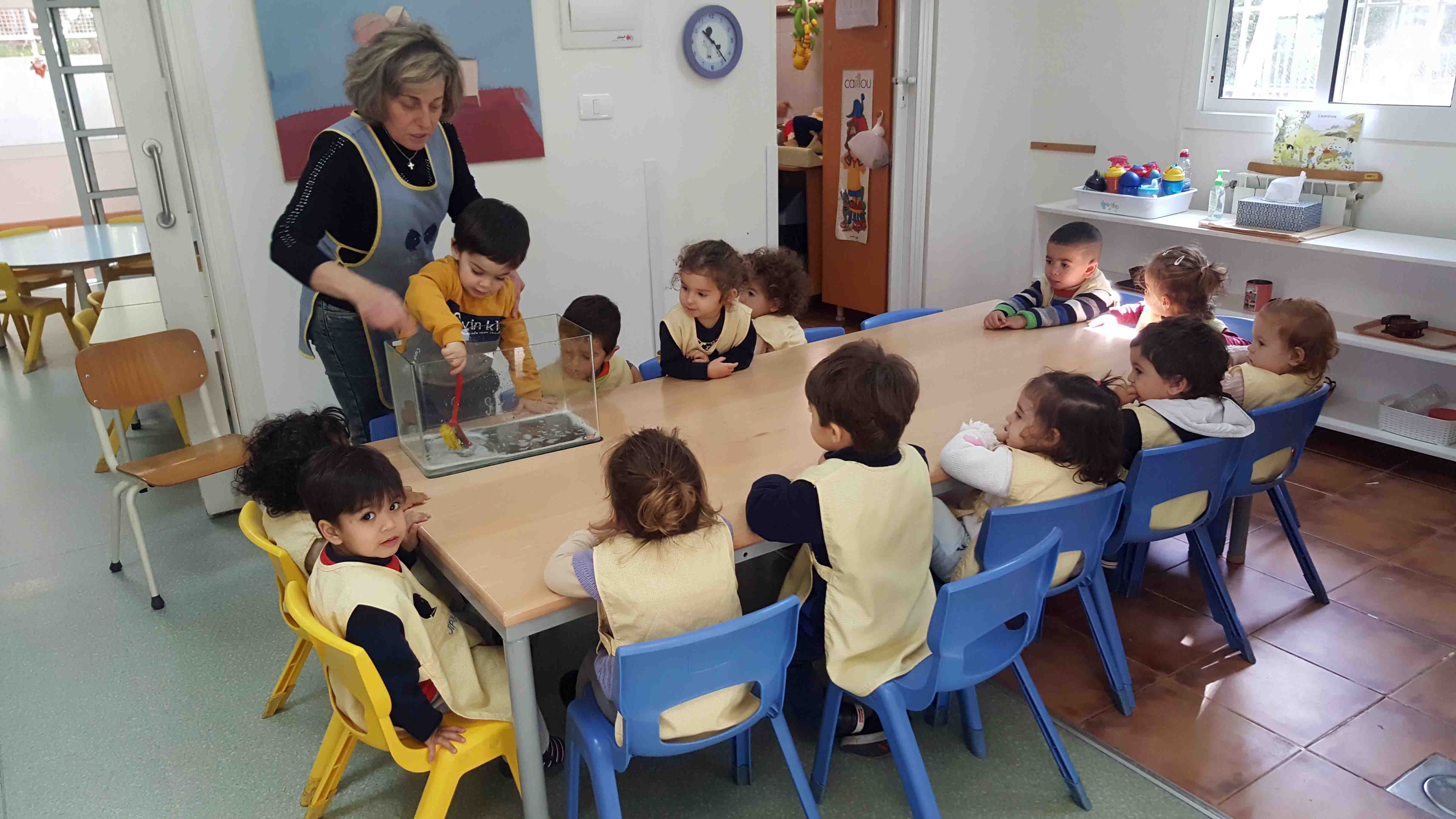 Albums School
